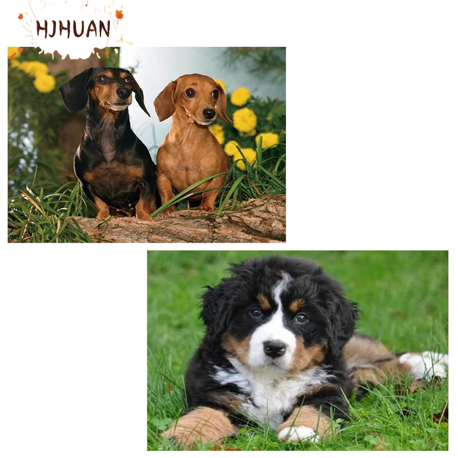 

Алмазная 5D живопись «сделай сам» с собакой, Набор для вышивки крестиком, полная вышивка, мозаика, художественные картины стразы, подарок, до...