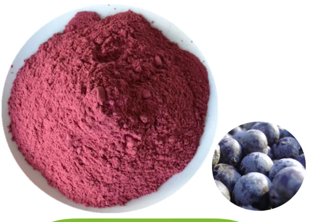 

Organic Acai Berry Juice Powder 50g