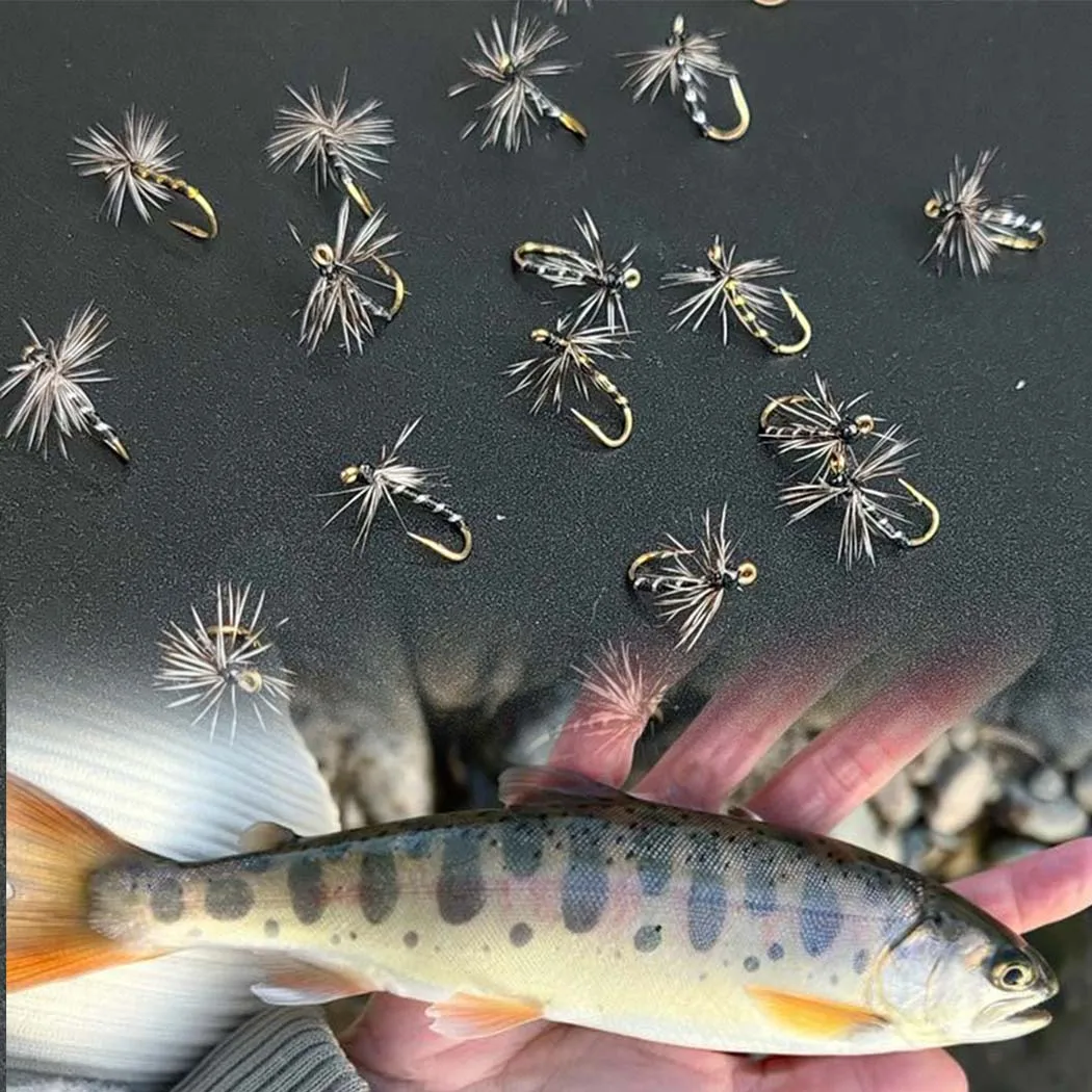 Фото 5/10 шт. с коробкой Griffith Midges Bait - размеры # 14 |   Нахлыстовая наживка для рыбалки |   Сухие мухи |   Ловля форели/Окунь №5