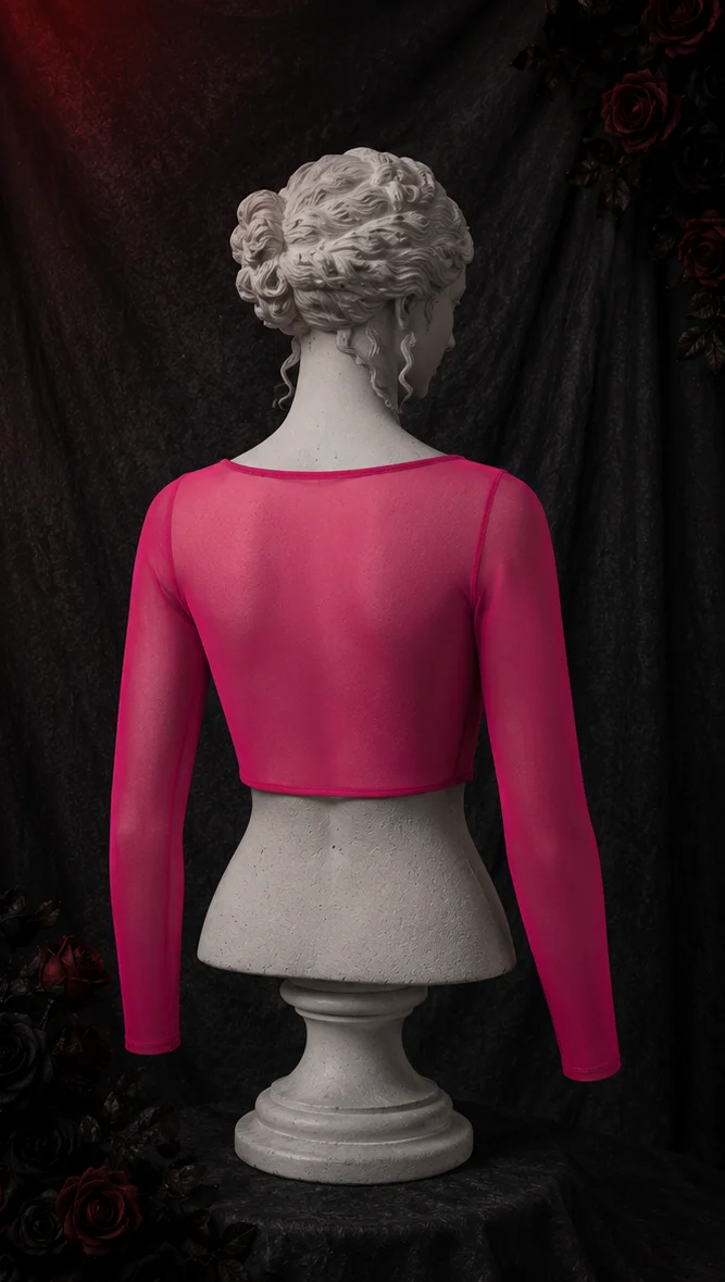 Фото 【Fragments.One choice, no more choices.】Женский топ Hot Sweetheart Sexy Rose Red, полупрозрачный, 3D, облегающий крой. №3
