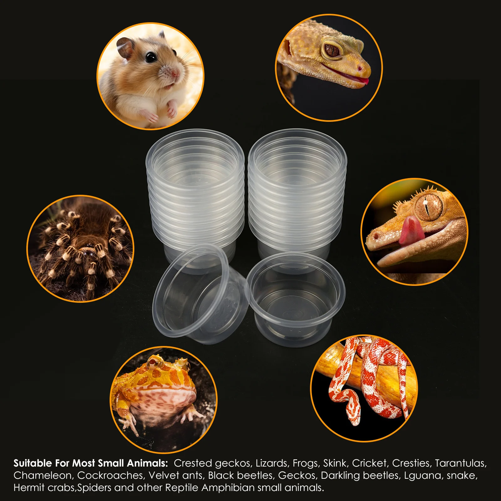 20 шт. пластиковая чашка для кормления и воды Gecko сменная чаша рептилий подходит
