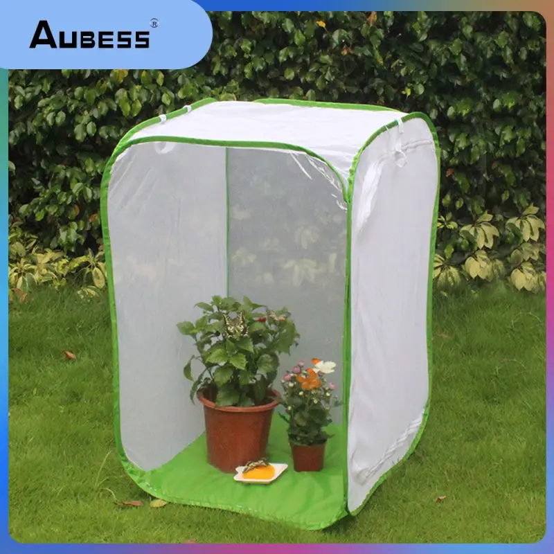 

MO-OD Garden Butterfly and Insect Habitat Cage Mesh Butterfly Mantis Stick Praying Cylindrical -up Cage 2 Sizes - GREEN