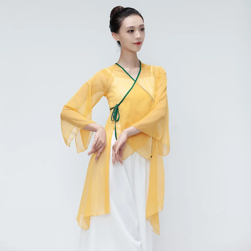 

Ladies classical dance dress chiffon gauze dress girls flowing training costume Chinese dance dance performance costume