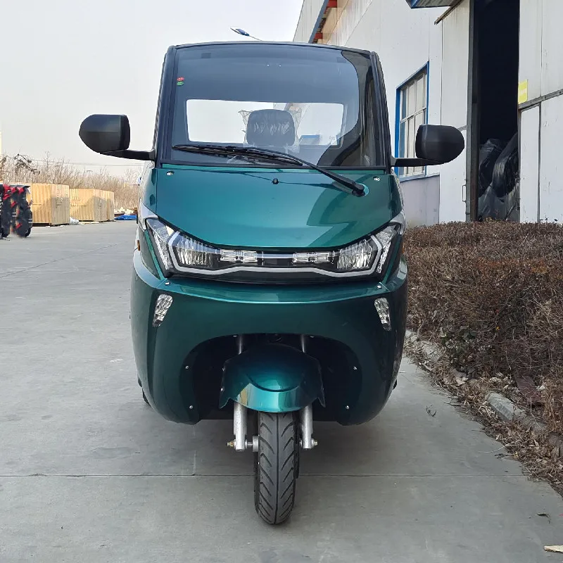 Hot Sale Electric Tricycles New Cheap 2 Seats Doors Fully Enclosed Adult Scooter Three Wheel Car ev |