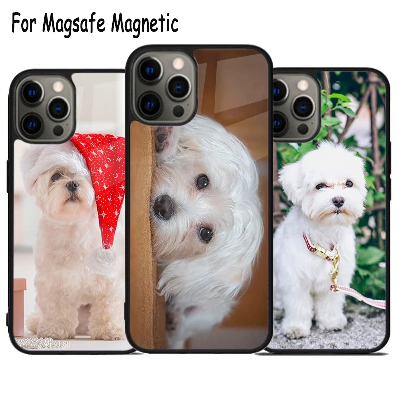 Чехол Magsafe для телефона с беспроводной зарядкой изображением мальтизской собаки