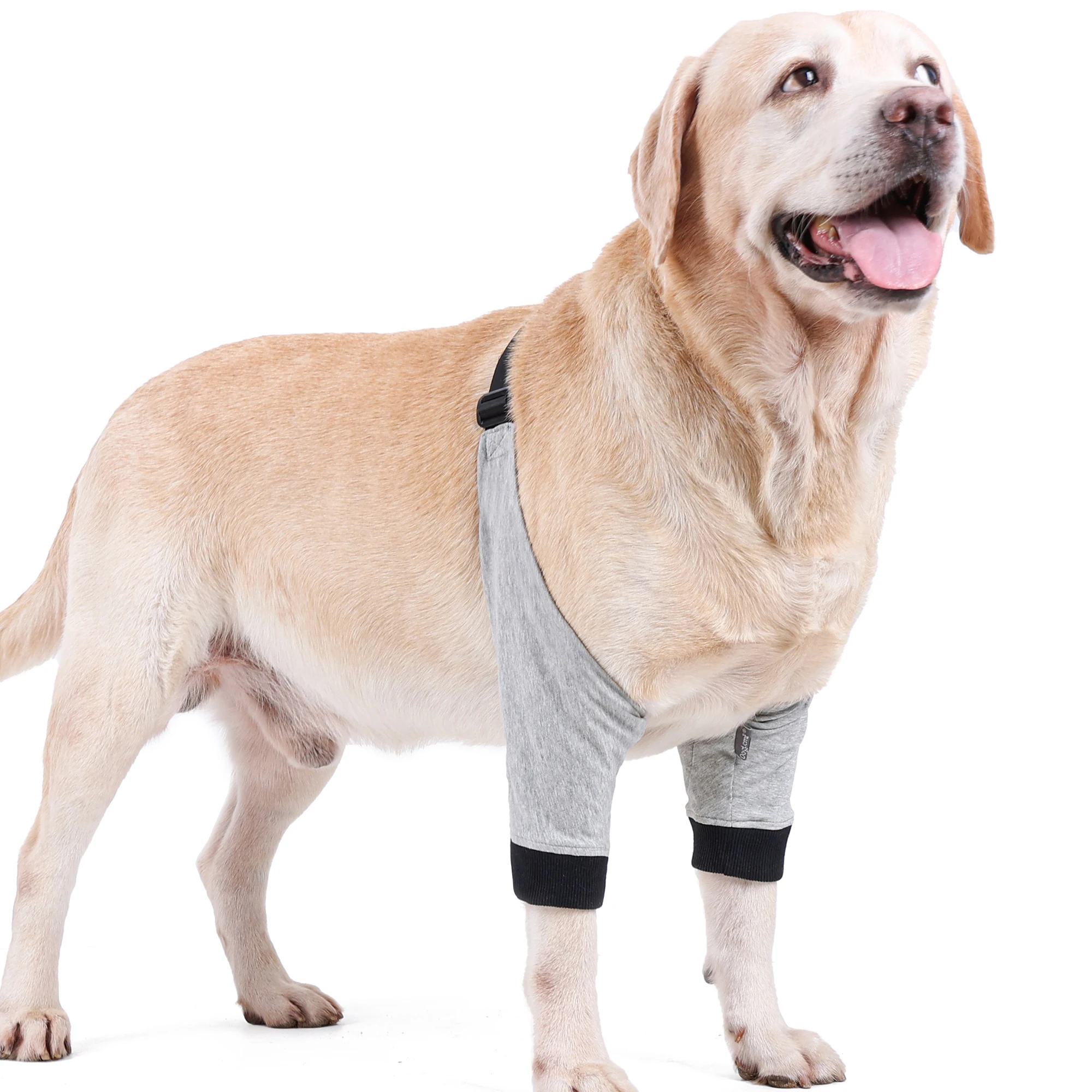 

Leg Knee Pads For Dogs Recovery Bandage Anti-lick Wound Dog Arthritis Auxiliary Fixed Joint Protector Dog Accessories