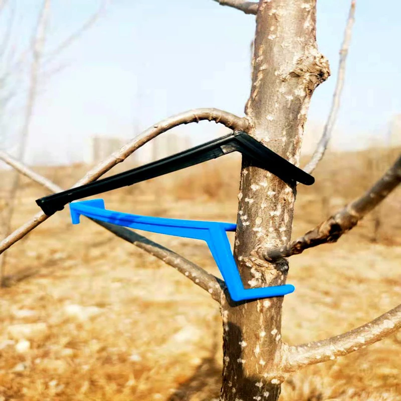 

10Pcs/set Practical ABS Fruit Tree Branches Holder Fruit Branch Spreader Tree Branch Support Frame