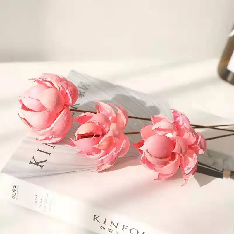 

4Pcs/Lot Natural Dired Lotus Lamp Flowers Soft Outfit Shooting Props Simulation Retro Furniture Decoration Literary Style