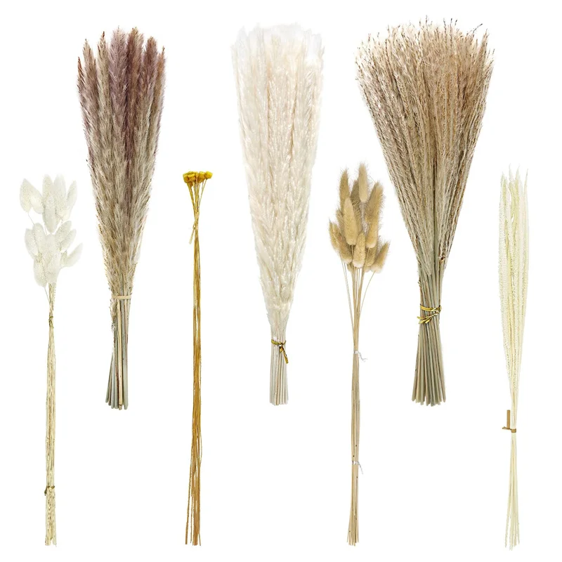 

135pcs Fluffy Reed Bunny Tails Dried Pampas Grass Flowers Arrangement Wedding Home Decor Dried Flowers Natural Boho Decorations