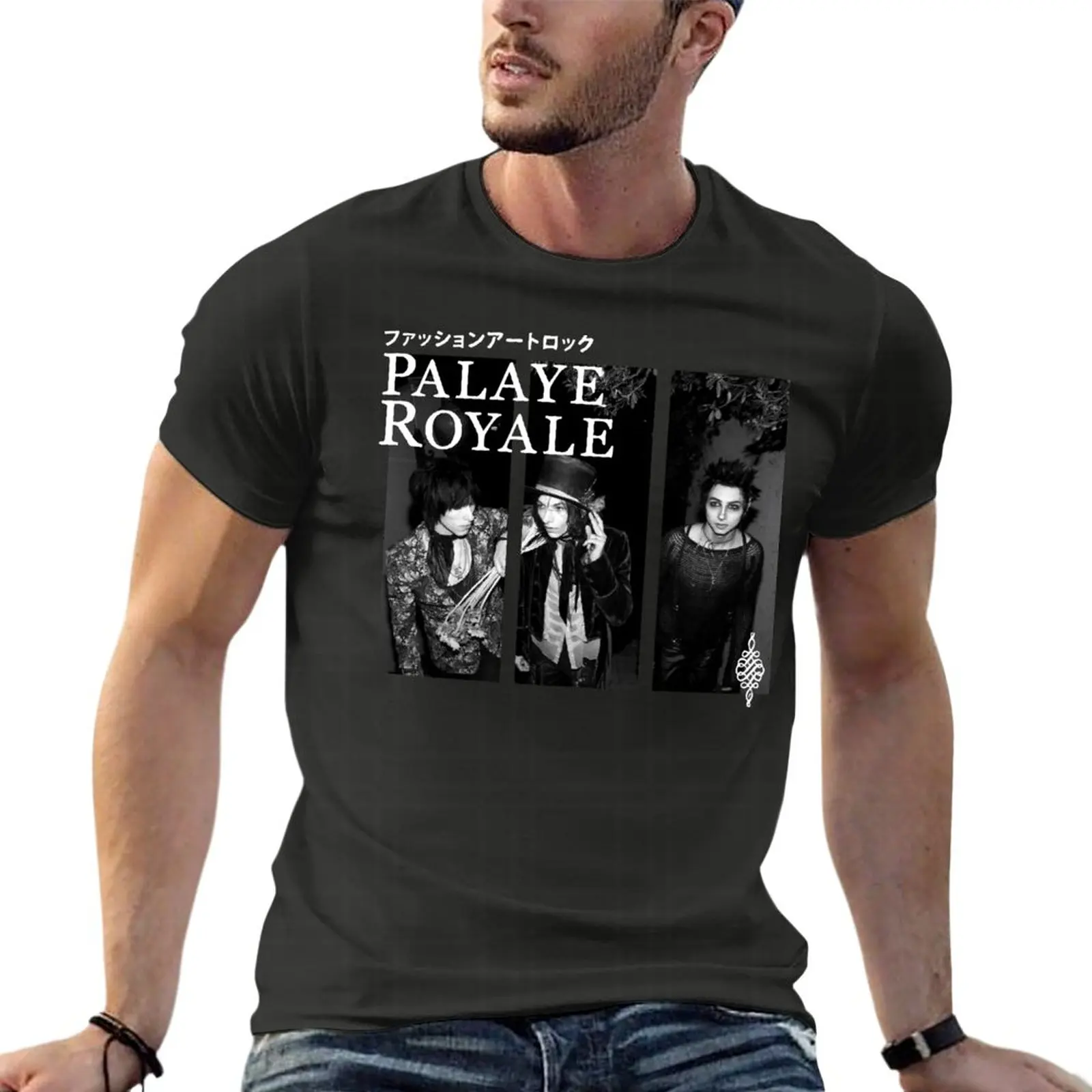 

Футболки большого размера Palaye Royale, мужская одежда на заказ, уличная одежда из 100% хлопка, топы большого размера