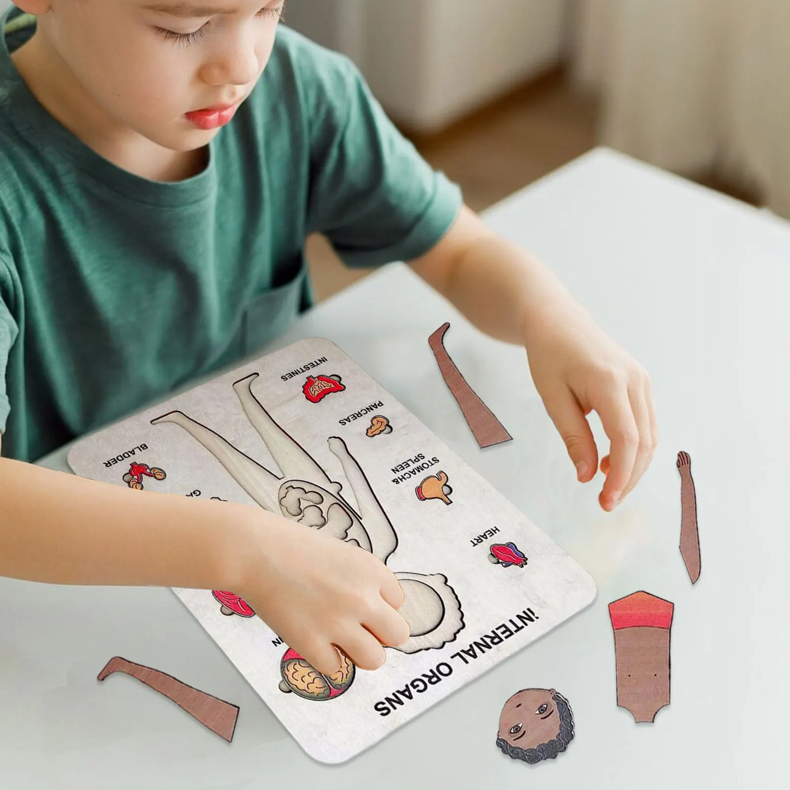 

Wooden Human Body Puzzle For Kids Boy Body Parts Organs Muscles Toy Set Wooden Montessori Puzzles For Kids Aged 3 Educational