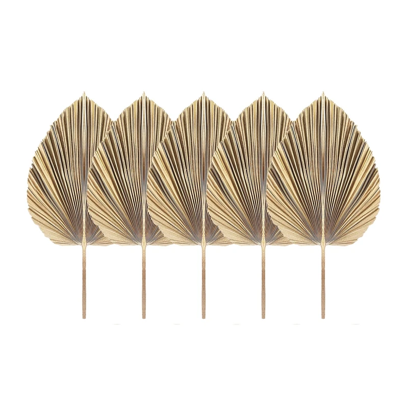 

Leaves 5pcs Dried Dried Fans Dry Kitchen For Palm Natural Decor Boho Tropical Home Wedding Leaves Palm