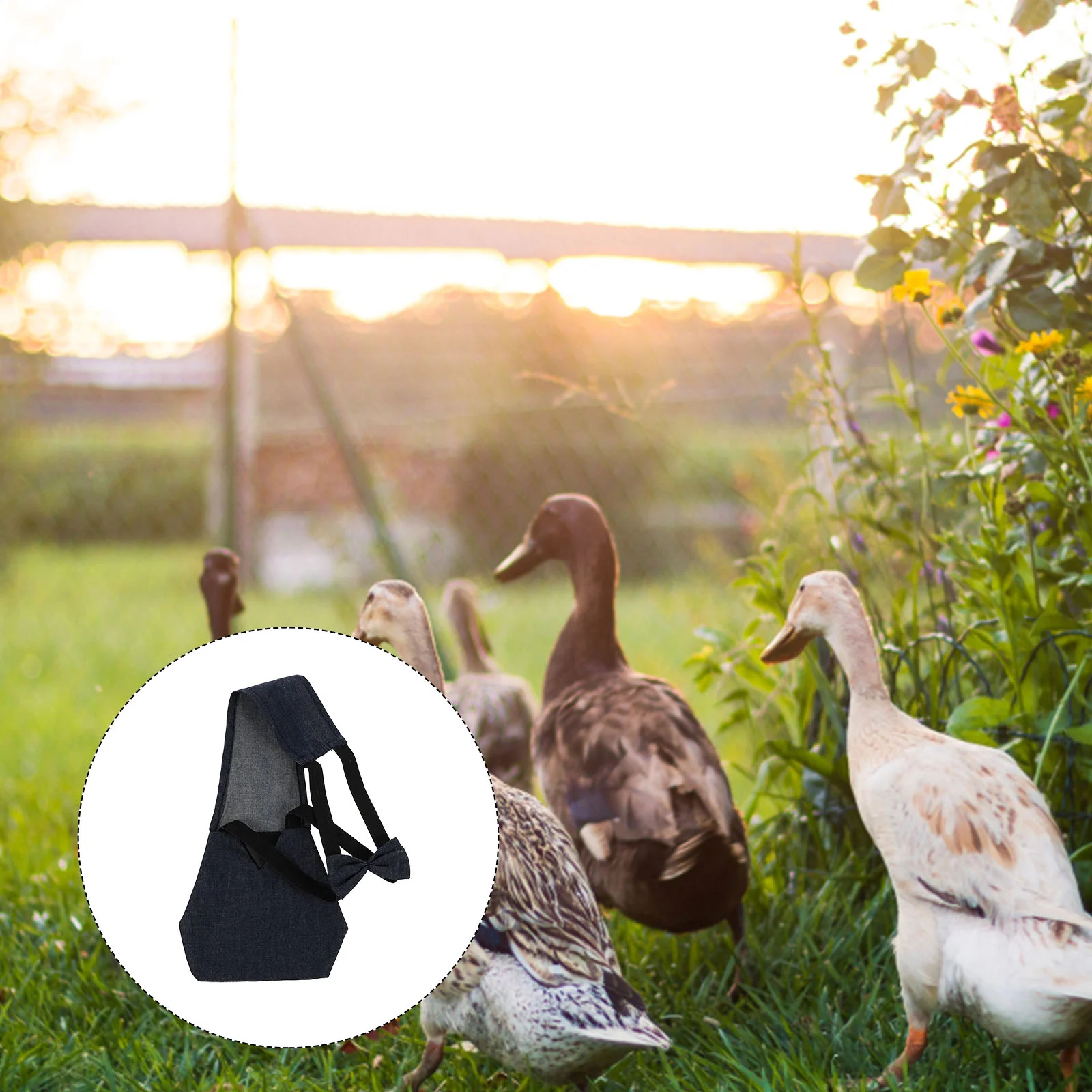 

1PC Bowknot Poultry Diaper Elastic Belt Goose Duck Hen Nappy Diaper for Farm