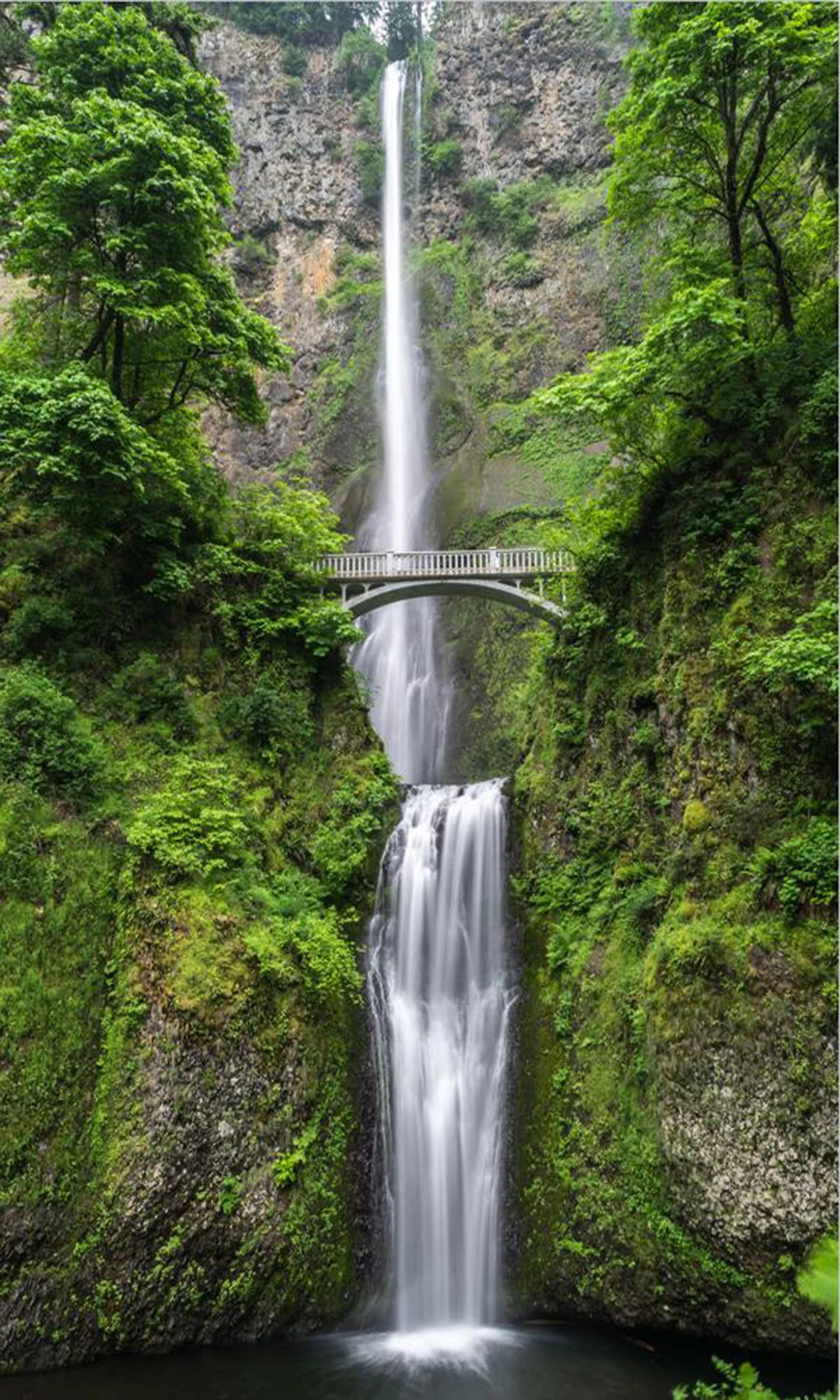 Modern Pictures HD Printed Poster For Living Room Decor 3 Piece Forest Waterfall Landscape Canvas Painting Wall Art(No Frame) | Дом и сад