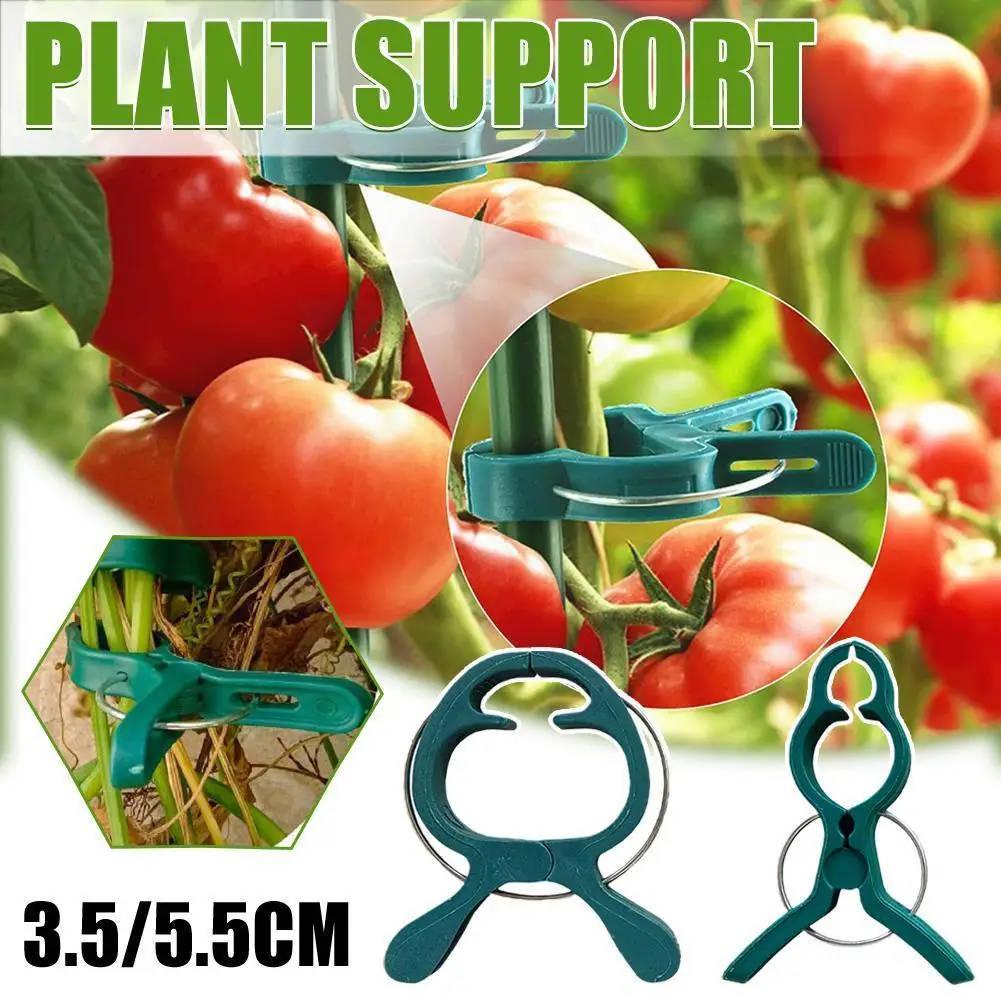 

Garden Plant Clamps for Climbing Vine Support Clip Tomato Vegetable Flower Stem Holding Lever Loop Fixer 2 Sizes Reusable W6Z8