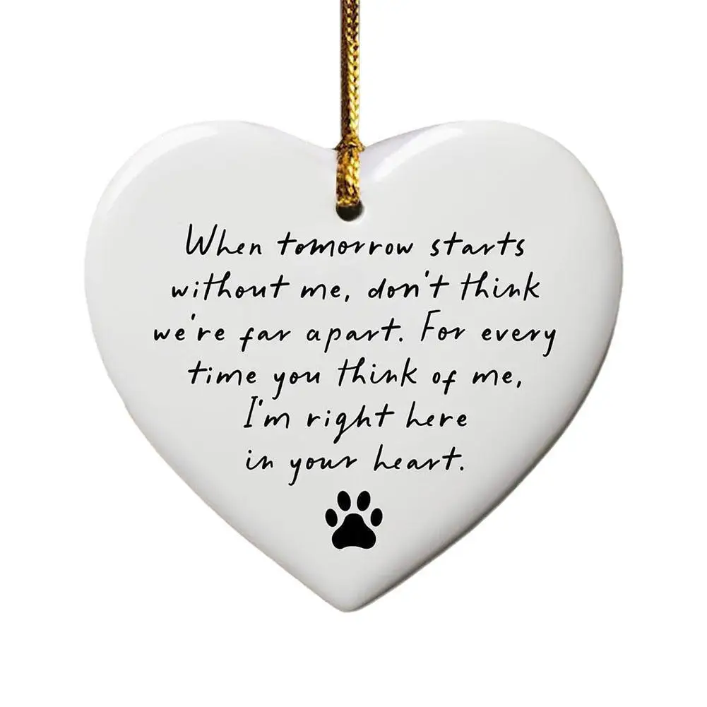 Садовые украшения Рождественский орнамент Робин Рождество Искусство