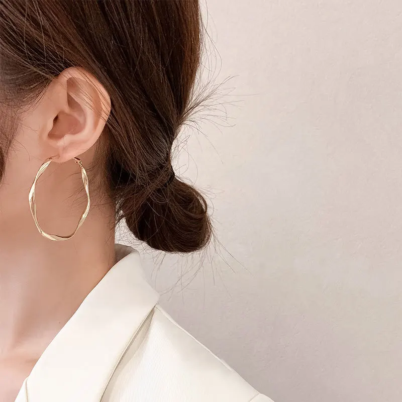 

Hot Sell Trendy Twist Round Circle 925 Silver Needle Ladies Hoop Earrings Original Jewelry For Women Anti Allergy Birthday Gifts