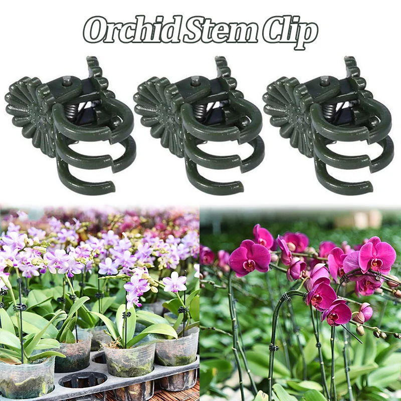 

50/100Pcs Orchid Stem Clip Plant Support Vine Plastic Clips Flower Grow Upright Branch Clamping Plant Support Clips Garden Tools