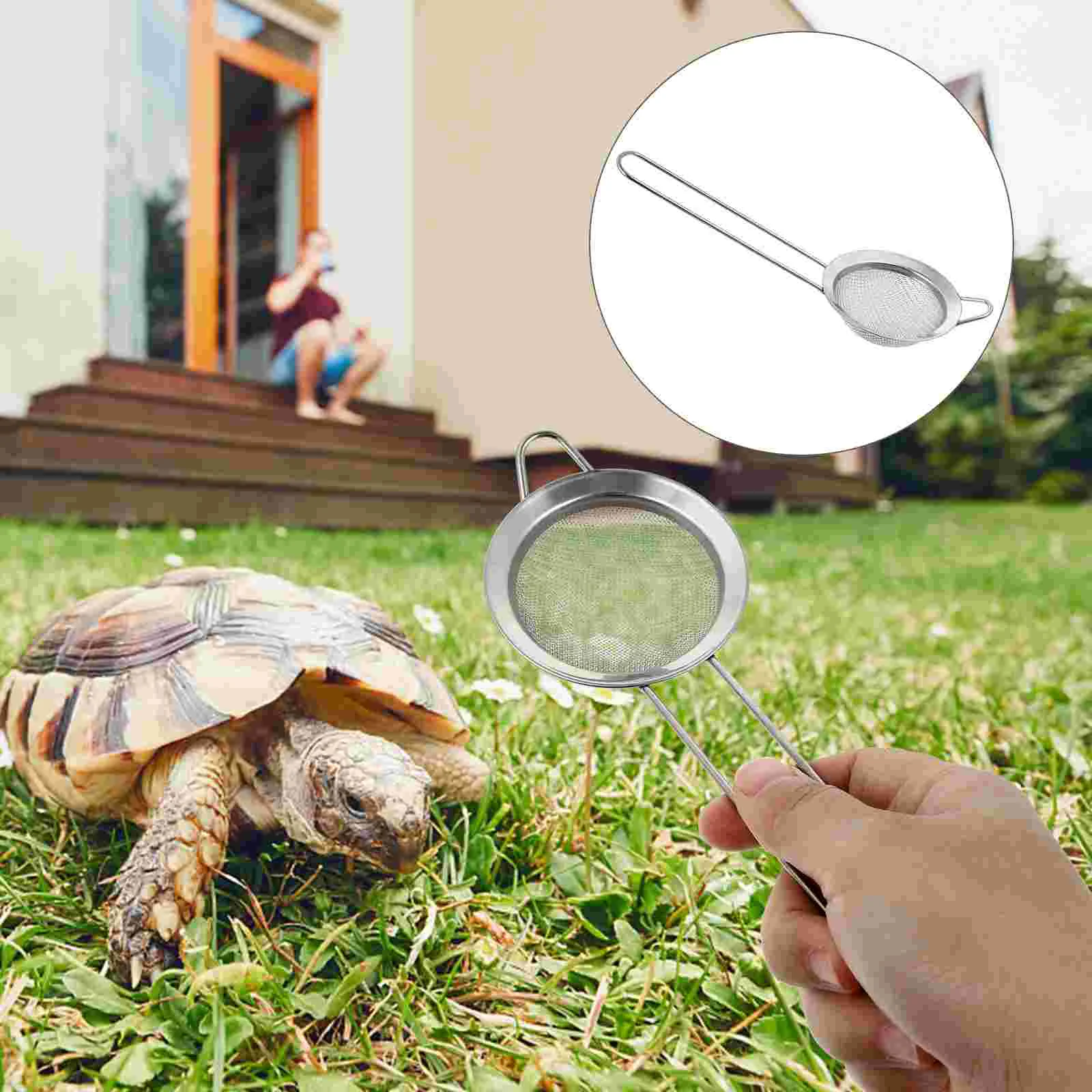 

2 Pcs Reptile Sand Beard Accessories Reptile Sand Scoop Pet Cat Litter Sifter Barbed Wire Reptiles Sand Mesh