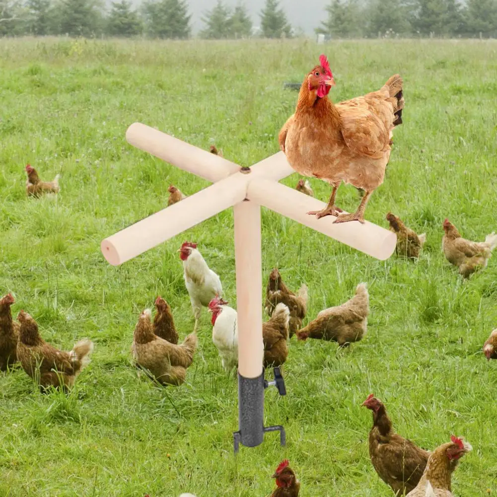 Уличная игровая площадка для цыплят деревянная игрушка куриного окуня с