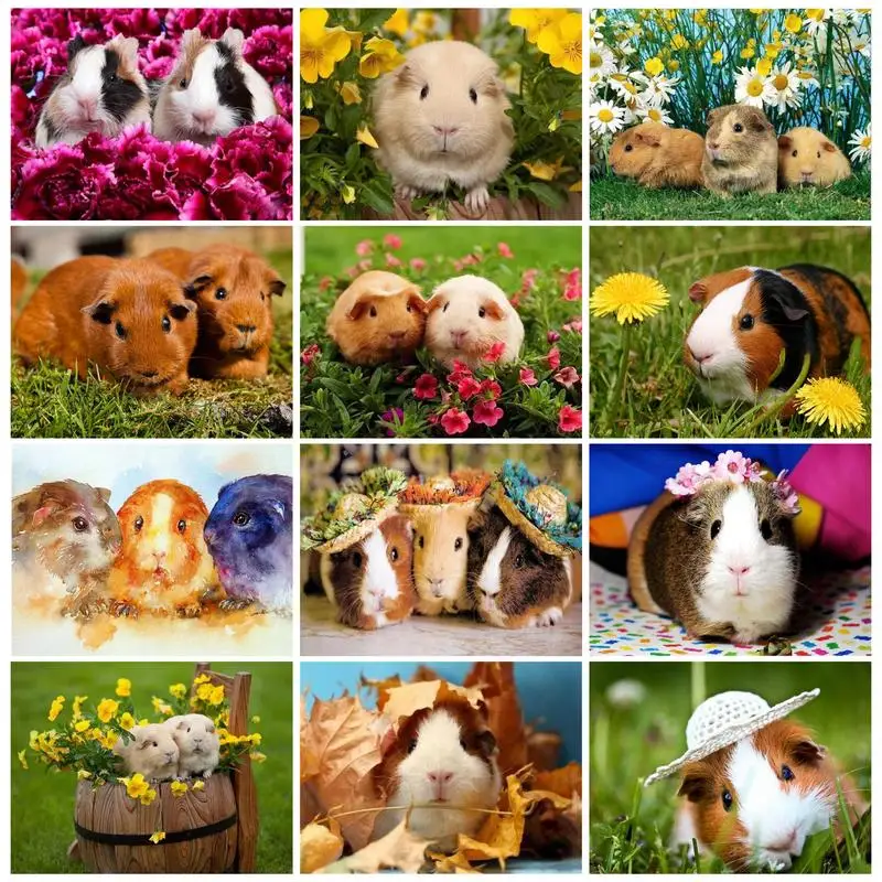 

CHENISTORY Hamster DIY Painting By Number For Adults Kits HandPainted On Canvas Animal Oil Picture Coloring By Number Gift