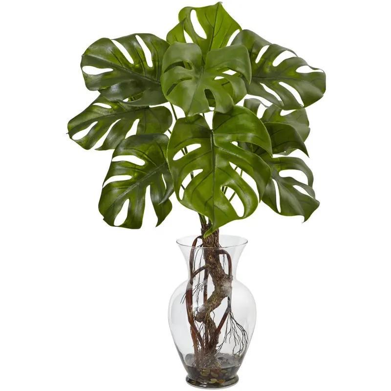 

26" Monstera Plant in Rocks with Glass Vase, Green