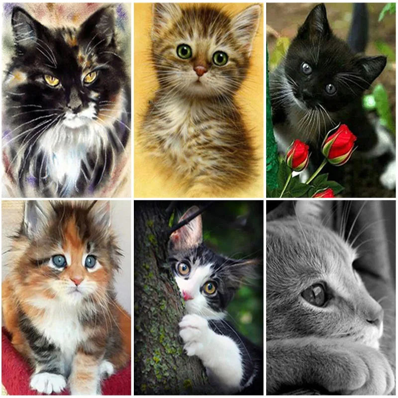 

DIY Cat 5D Diamond Painting Full Square Drill Animal Diamond Embroidery Cross Stitch Rhinestone Mosaic Gift Wall Art Home Decor