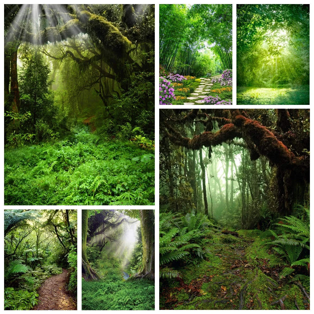 Весенний природный пейзаж лес фон для фотосъемки тропические джунгли зеленый