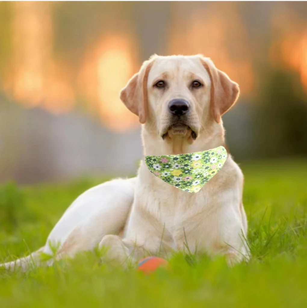 

Треугольный шарф, воротник для кошек, галстук-бабочка, безопасная Пряжка, регулируемый ошейник для собак, аксессуары для щенков, кошек