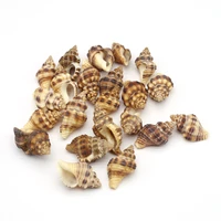 natural shell beads no hole coffee decor snail charms for jewelry making necklace bracelet gift accessories ornament