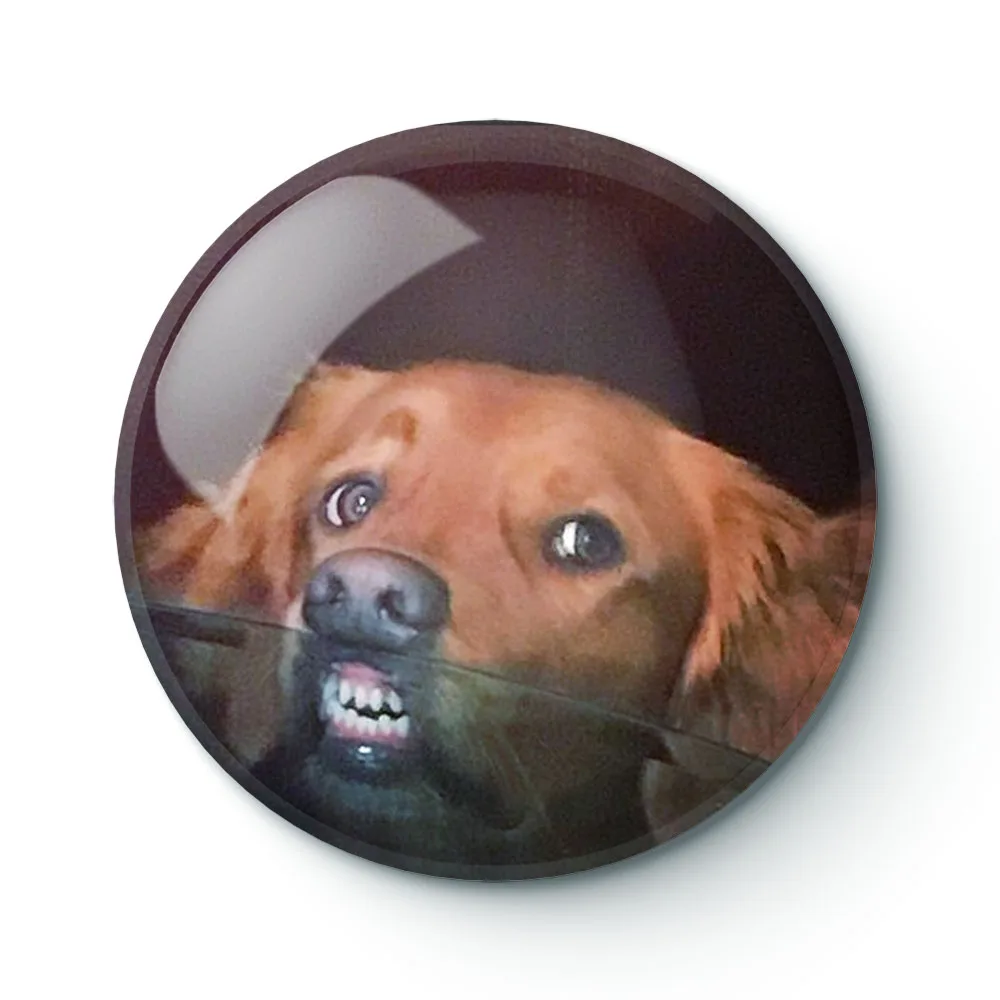 

DOG MEME 038 Buttons Brooches Pin Jewelry Accessory Customize Brooch Fashion Lapel Badges