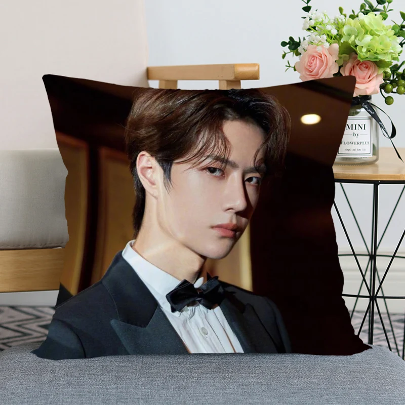 

Wang Yibo Pillow Case Chen Qingling For Home Decorative Pillows Cover Square Zippered Satin Fabric PillowCases 40X40,45X45cm