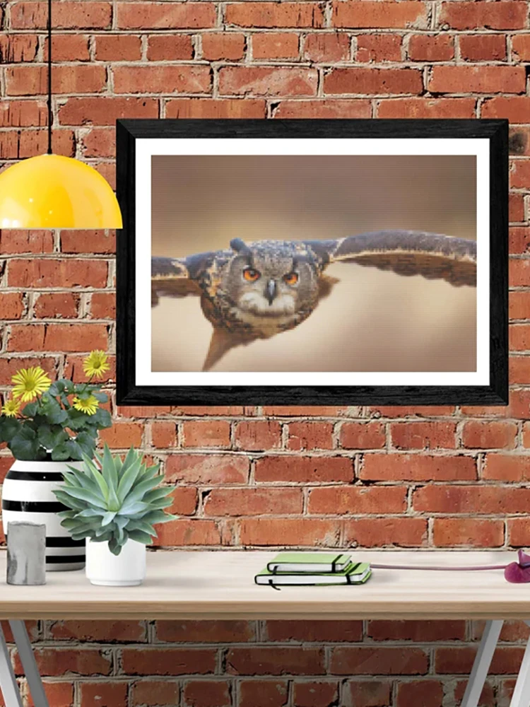 

DIY-5D Diamond Painting Flying Owl Splice Set Full Diamond Embroidery Mosaic Picture Closed
