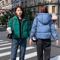 autumn winter s 2xl overcoat jacket woman solid thickening padded clothing ladies short female jacket hooded thick warm parkas