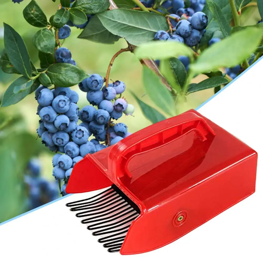 

Reusable Convenient Anti-slid Effective Blueberry Picker Labor-saving Handle Blueberry Spatula with Handle for Orchard