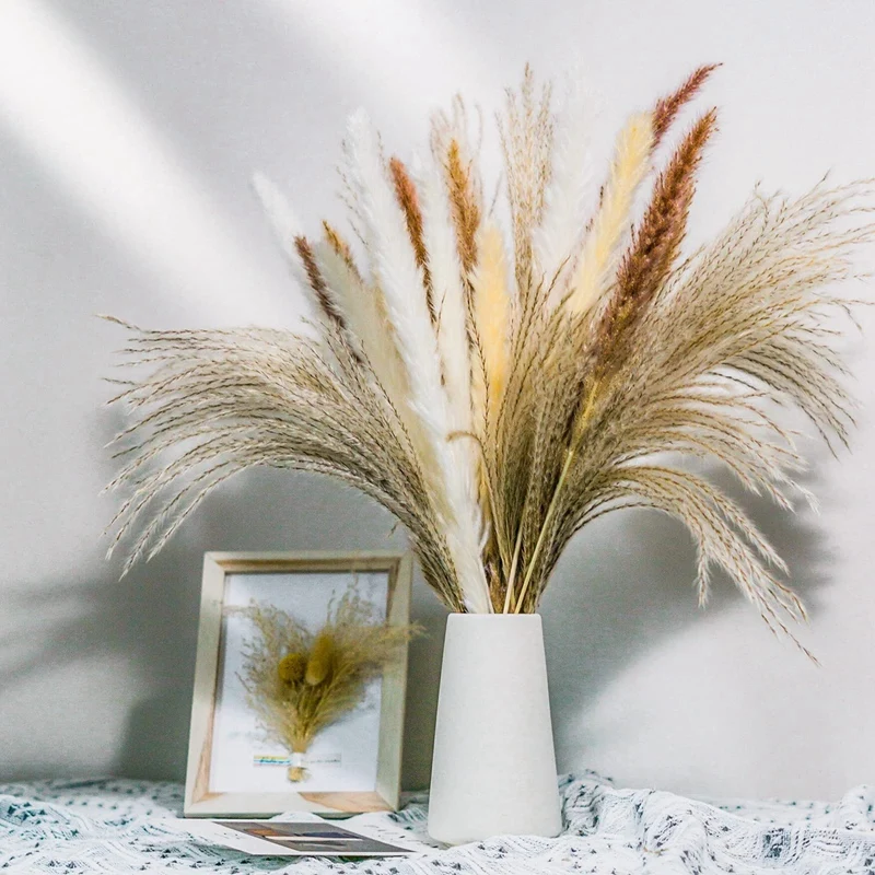 

70PCS Reed Grass Pampas Natural Dried Pampas Grass Bouquets for Flower Arrangement Home Decor Wedding Boho Decor