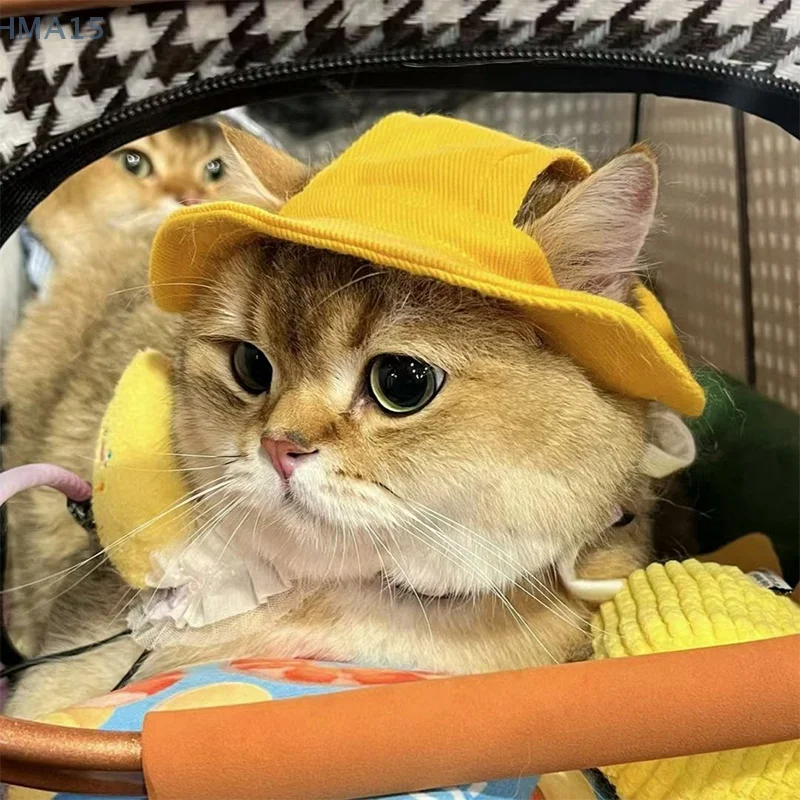 Летняя шляпа допамина Devon Cat безволосная для домашних животных солнцезащитная
