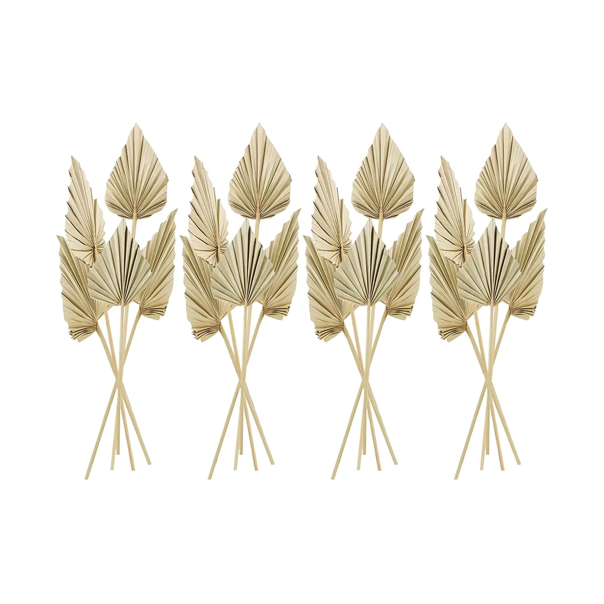 20 шт. высушенные листья в стиле бохо