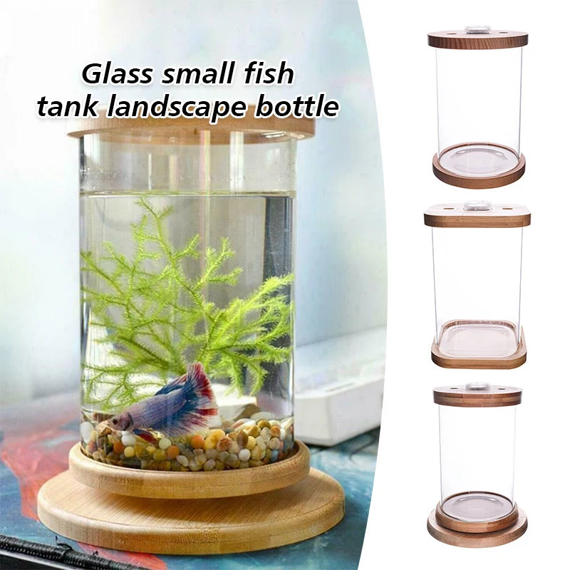

Diy New Pattern Ecological Bottle Fish Micro Landscape Aquarium Small Fish Living Bucket Desktop Small Large Fish Tank