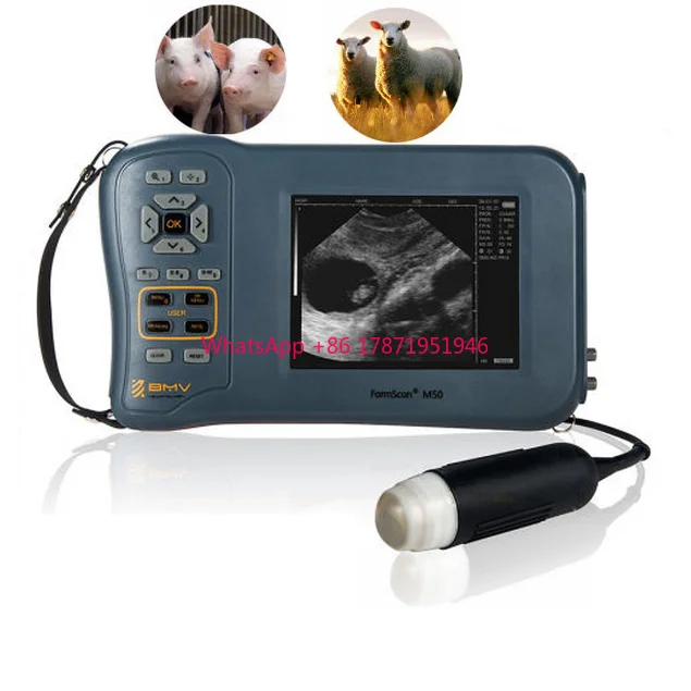 Ветеринарный ультразвуковой сканер для овцы ecografo bmv farmscan m50 l60 ultrasonido portatil