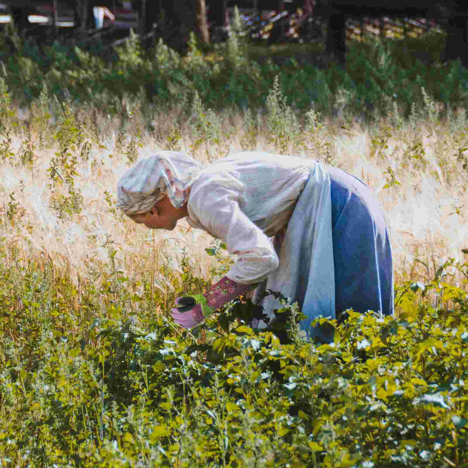 

Gardening Long Sleeve Work Heavy Duty Safety Work Gardening for Men Brown Gardening