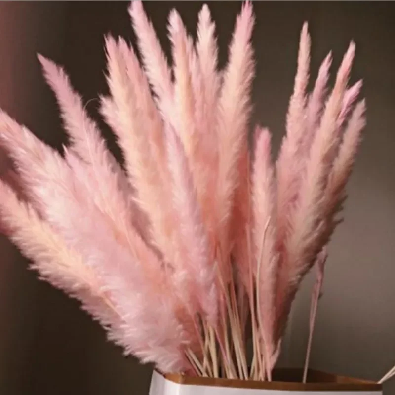 

2022 Grass Phragmites Wedding Flower Bunch 40 To 68 Cm Tall for Hotel Home Decor