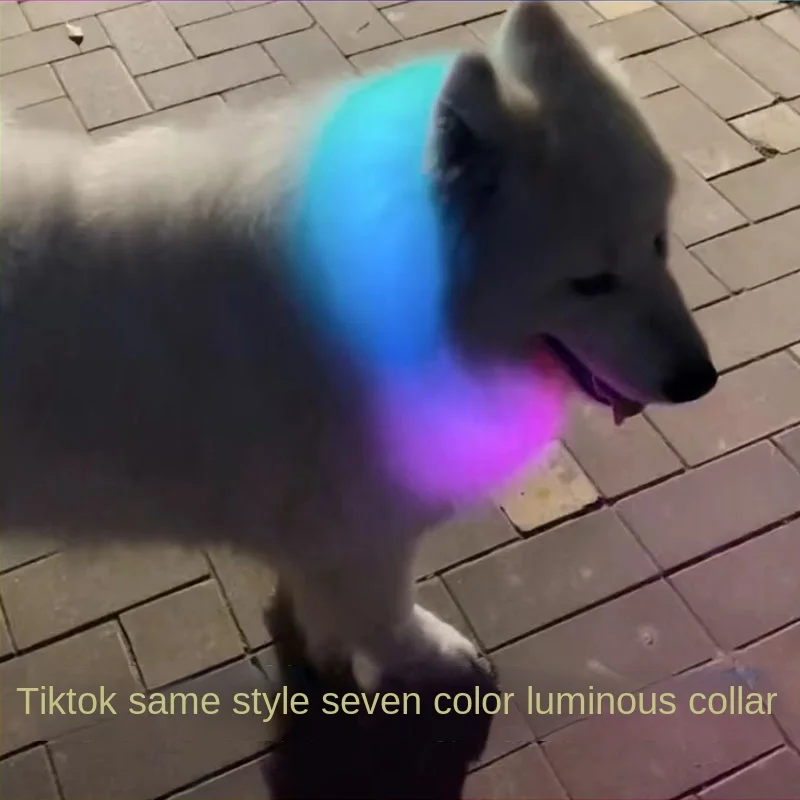 

Красочный ошейник для собак, самоид, светящийся круг, фотоболт, не лизает, ходячая собака ночью, светящееся кольцо для собаки