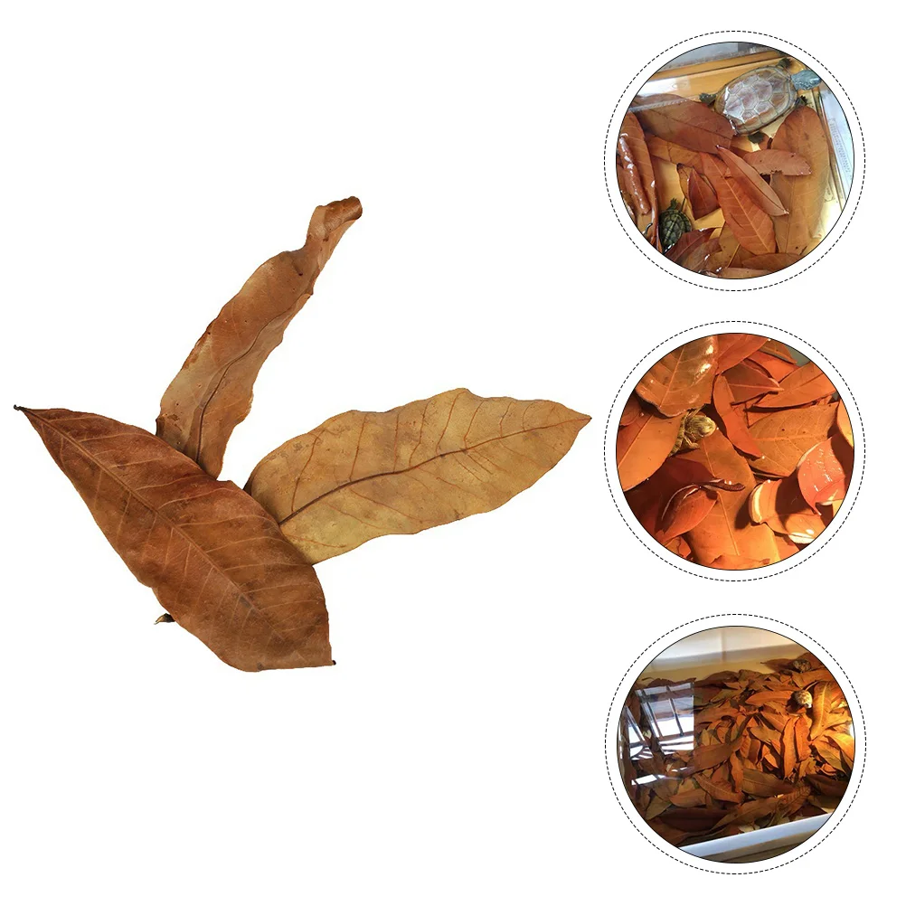 

30 Pcs Faux Leaves Reptiles Hideout Aquarium Ornament Fish Tank Landscape Decor Leaf Muicle Plants Natural