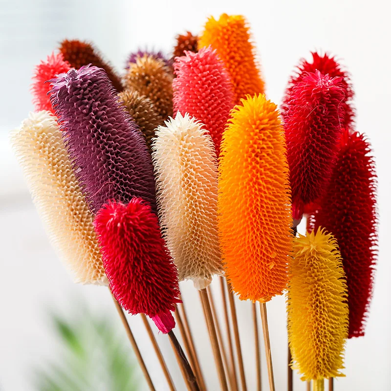 

2pcs/30CM Dried Flower Teasel Bunches Display Handmade Flower For Christmas Wedding Home Decoration Flower Arrangement Art