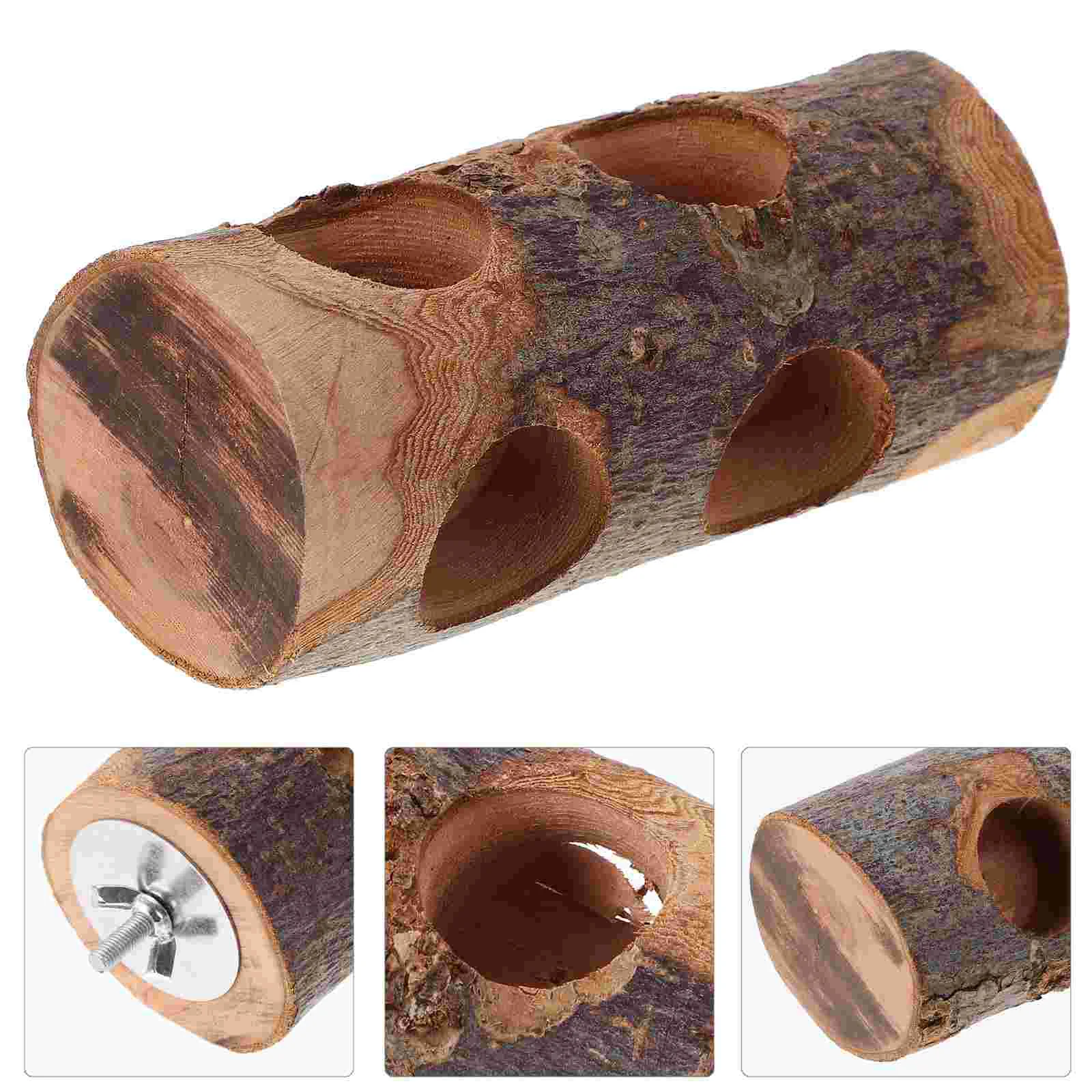 

Parrots Biting Playthings Natural Chewing Animals Pet Teething Toys Rabbit Nuts