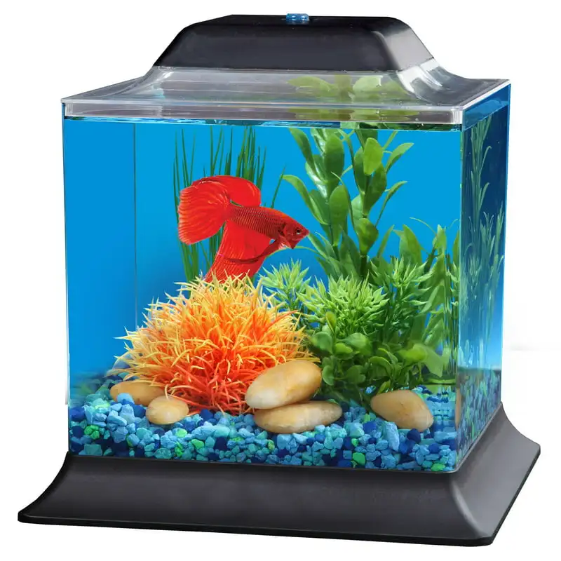 

1,5 галлонов Betta Fish набор для аквариума