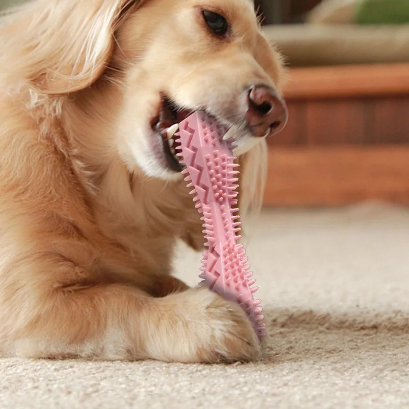 

Dog Toothbrush Durable Dog Chew Toy Stick Pet Molar Cleaning Teeth Cleaning Interactive Chewing Playing Bites Pet Supplies