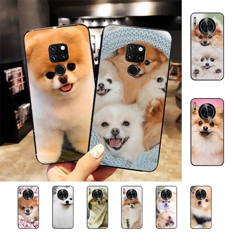 

Pomeranian dogs Phone Case for Huawei Mate 20 10 9 40 30 lite pro X Nova 2 3i 7se