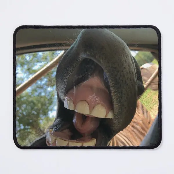 

Игровой коврик для мыши с надписью «My Teeth»